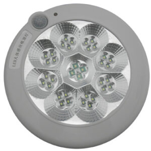 Human Body Induction LED Ceiling Light